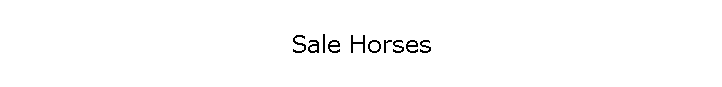 Sale Horses